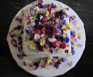 Articulo flores comestiblesEat flowers 3