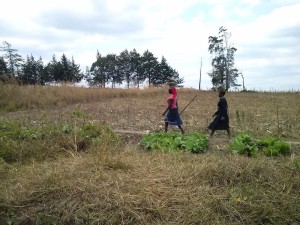 Mujeres por el campo