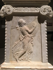 roma7