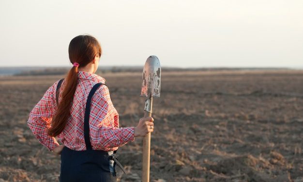 Dar marcha atrás es de valientes