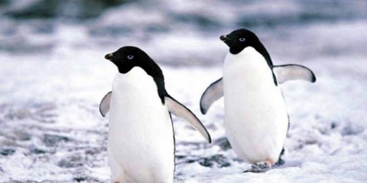 enganchada a un hombre