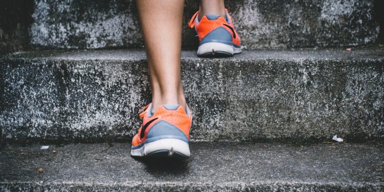 relación de ejercicio y la función cognitiva