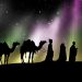 carta a los reyes magos online