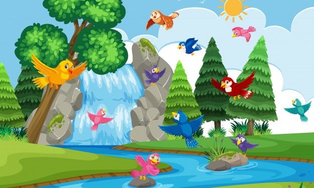 Pájaros en la cabeza