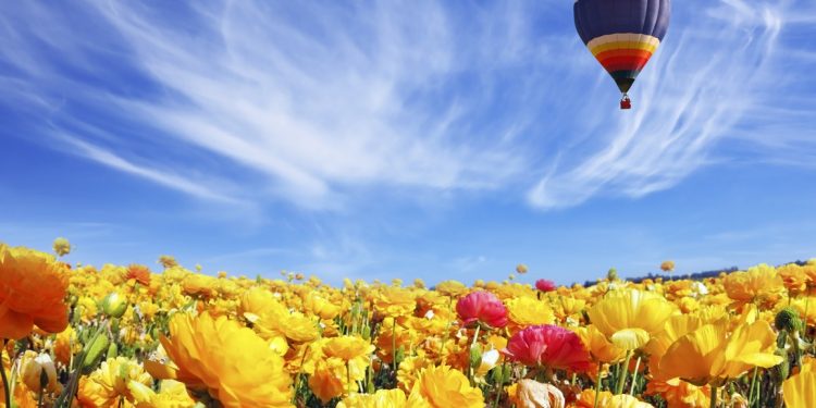 La juventud, entre el cielo y la tierra