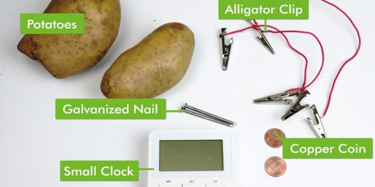 La antena de patata y las agujas de punto