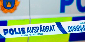 Libres, sí, pero no ignorantes