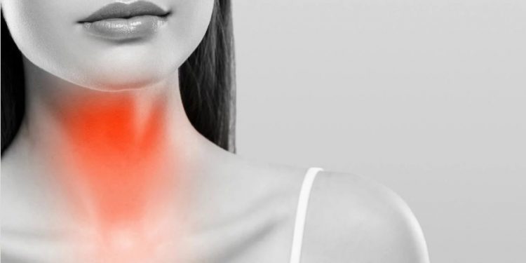 ¿Puede contribuir la dieta al tratamiento del hipotiroidismo?