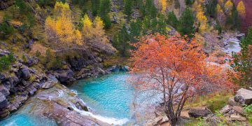 La verdad que reconforta