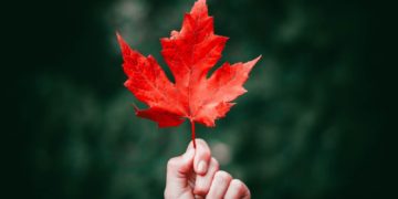 Fin de año y Maria Kiondi