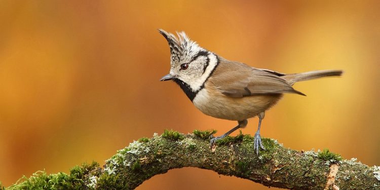 ¿Qué tendrá lo pequeño que a Dios tanto le agrada?