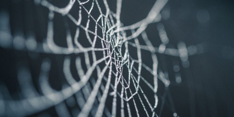 La tela de araña
