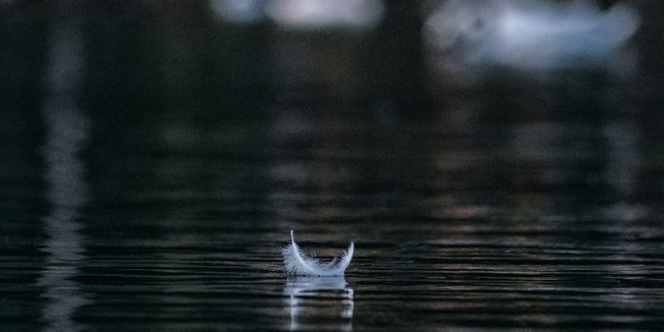 la etapa que trajo silencio y cambio al mundo