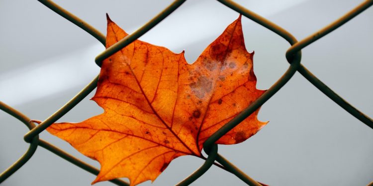 Tiempo de otoño