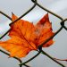 Tiempo de otoño