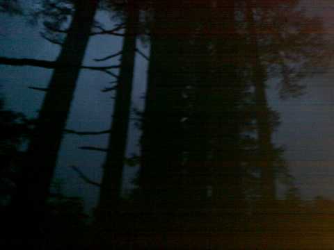 Cedro tormenta en la noche haiku Matsuo Bashō