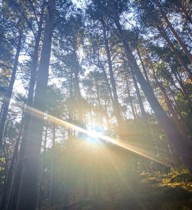 Aquellos días de verano y el viento