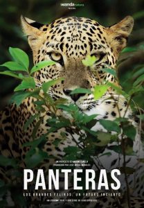 Festival de cine de Santander