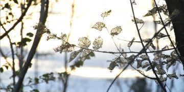 Copyright: @paloma_girona