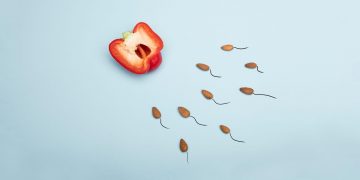 El carísimo cuento de la semillita