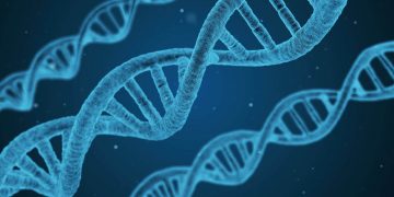Bioética y Política: Los desafíos del siglo XXI por Miguel Pastorino
