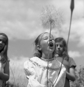 Mercedes Vizcaíno, mujeres esenciales