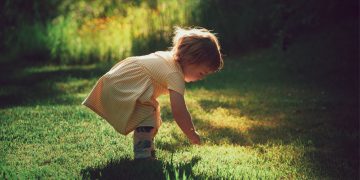 A la sombra de los aguacates