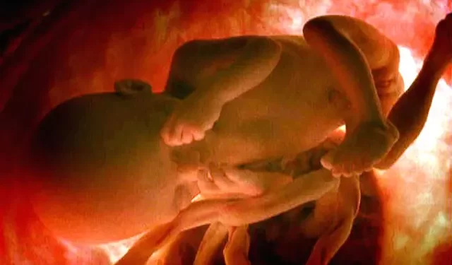 El milagro de la vida