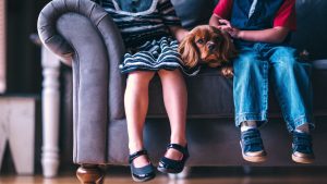 De perros, monos...y humanos