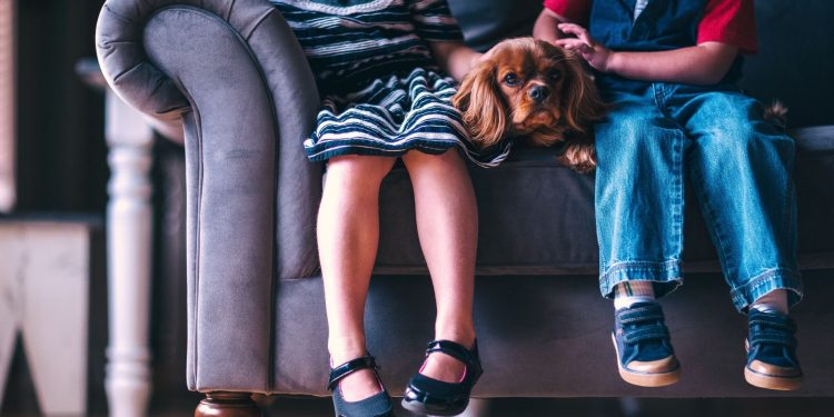 De perros, monos...y humanos