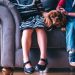 De perros, monos...y humanos