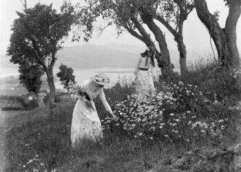 Foto de Museum of New Zealand Te Papa Tongarewa en Unsplash


Squarespace simplifies everything—from setup to management to marketing.