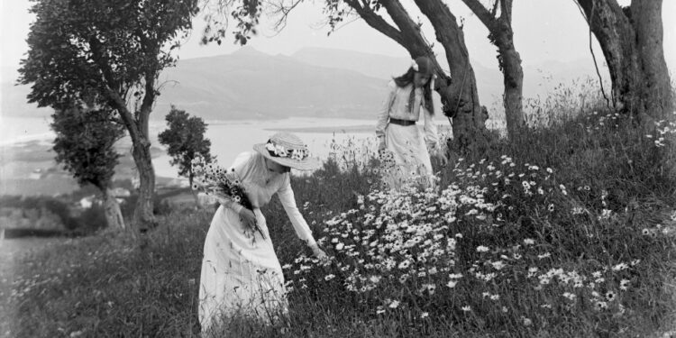 Foto de Museum of New Zealand Te Papa Tongarewa en Unsplash


Squarespace simplifies everything—from setup to management to marketing.