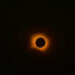 eclipse solr